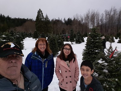 Christmas Creek Tree Farm