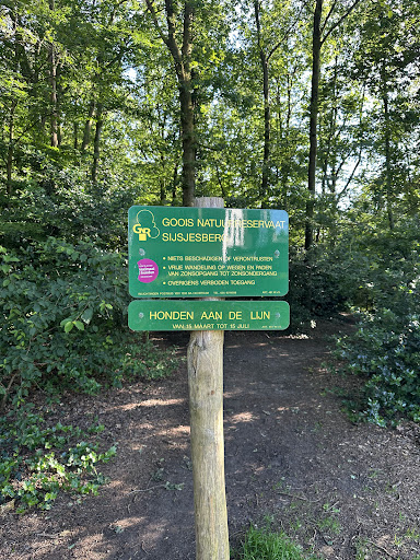 Goois Natuurreservaat Sijsjesberg - Thumbnail