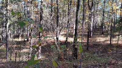 Camp Beauregard Wildlife Management Area