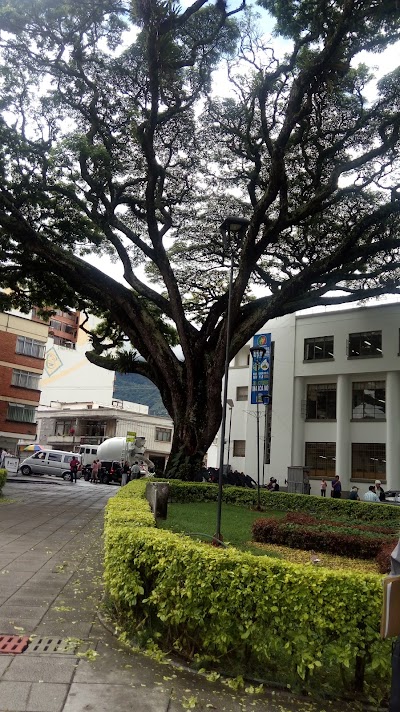Photos of Centro Ibague Tolima