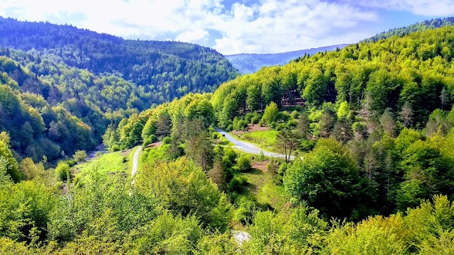 Selva De Irati/Iratiko Oihana