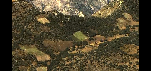 Prim. Niño Tepehuano