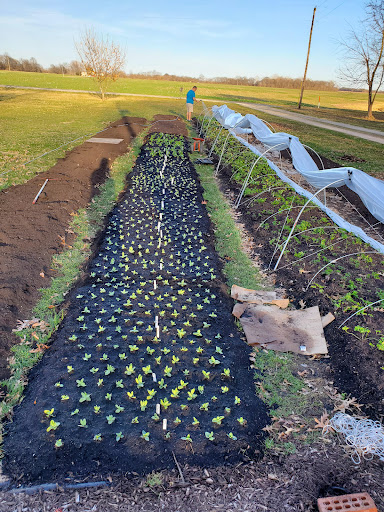 BrightSide Flower Farm LLC
