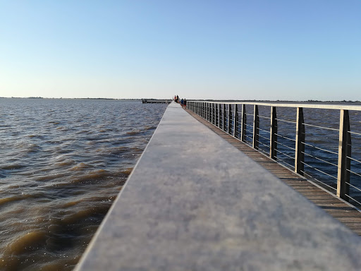 Comune Di Lesina - Visual