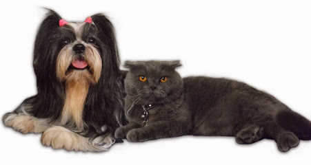 Foto de Centro Veterinario Clinivet