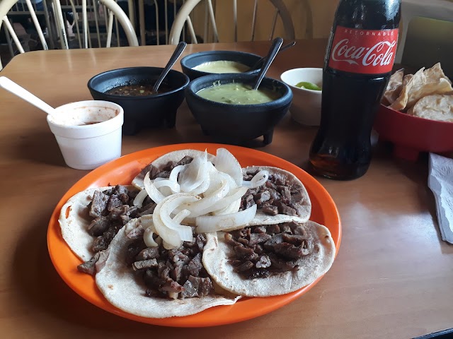 El Rey del Taco