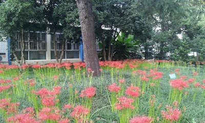 Photos of Jiangsu Workers Tangshan Nursing Home