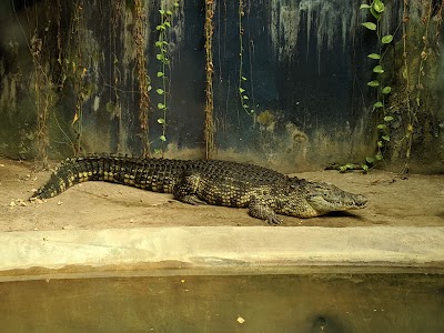 Naples Zoo