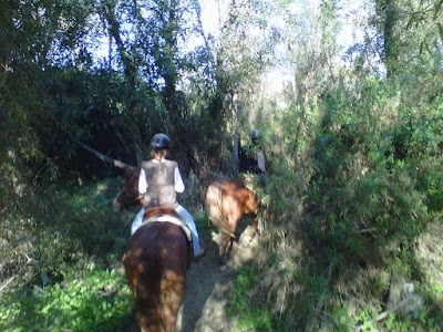 The Ranch - At Imperial Beach