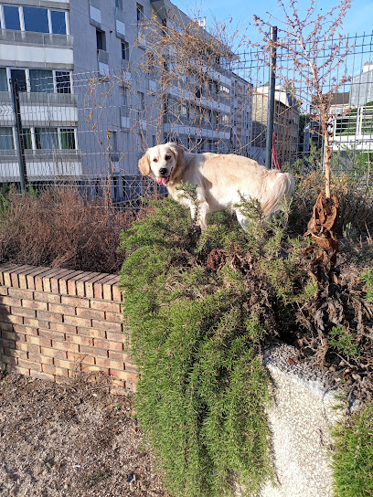 éducateur canin comportementaliste Clichy - Margaux - Canisprit