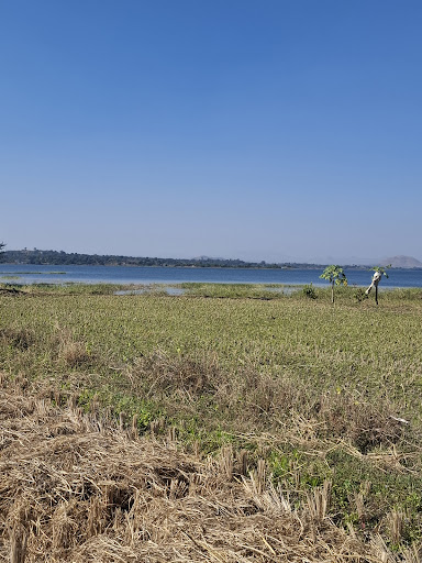 Live walk-through of scenic farmland in Igatpuri. Seeing is believing. post image