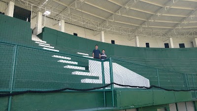 Photos of Baseball Stadium Toluca 80