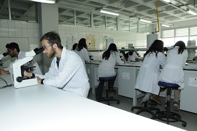 Photos of Namık Kemal University Central Library