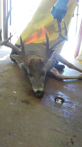 Vaughts Deer Processing - Visual
