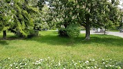 Фотография сквер Ленинского комсомола, улица Ленина, Севастополь, Украина