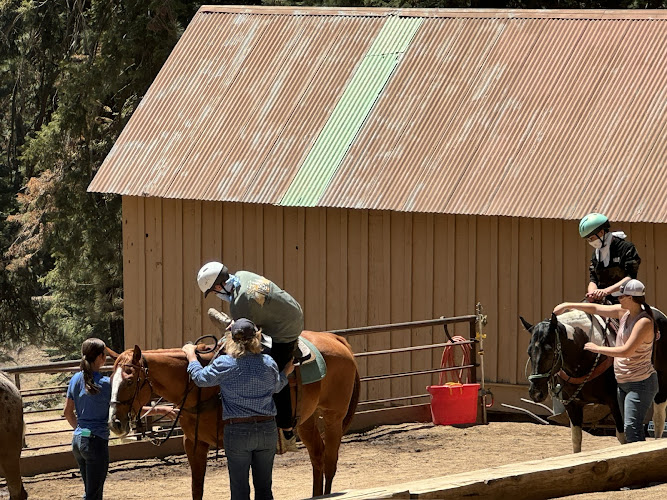 D &amp; F Pack Station