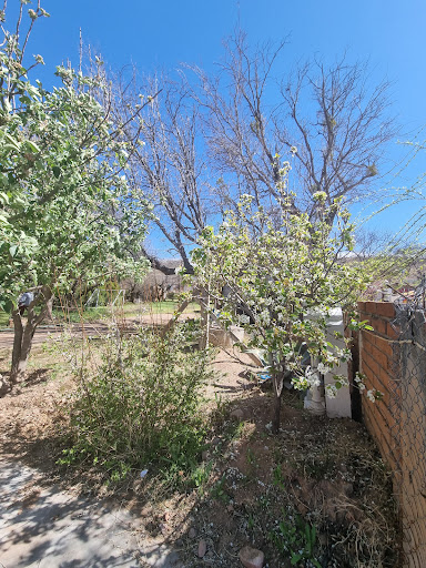 Rancho Chucarit - Visual