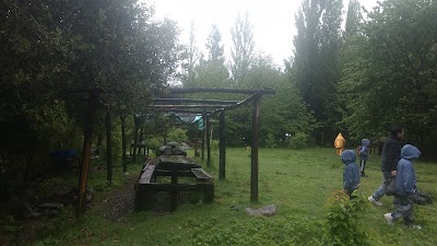 Photos of Termas El Avellano