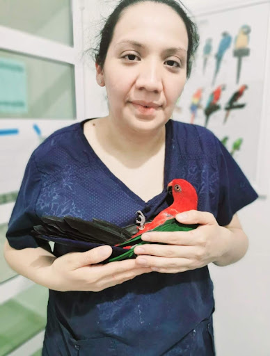 AVE Atención Veterinaria Especializada