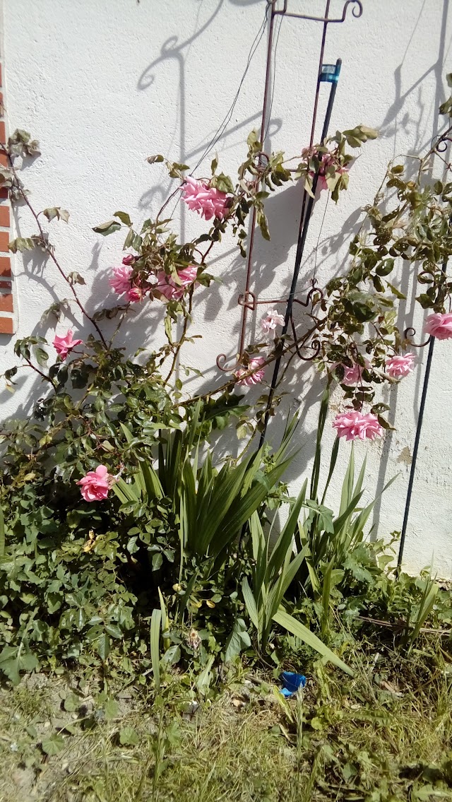 La Chapelle-d'Angillon