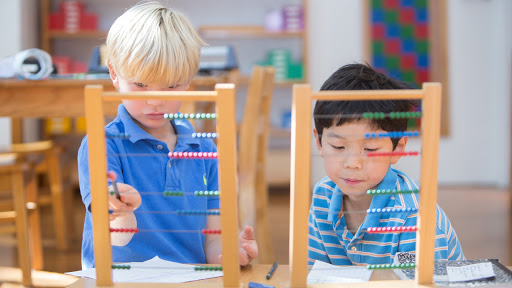 Forest Bluff School - Visual