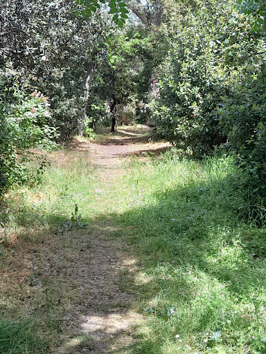 Parc et Château de la Nauze Gallery - France
