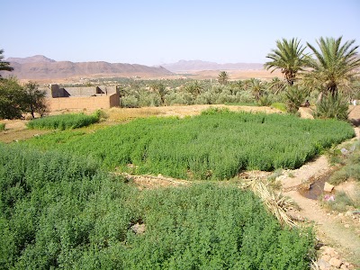 Photos of Sidi Boulaalam