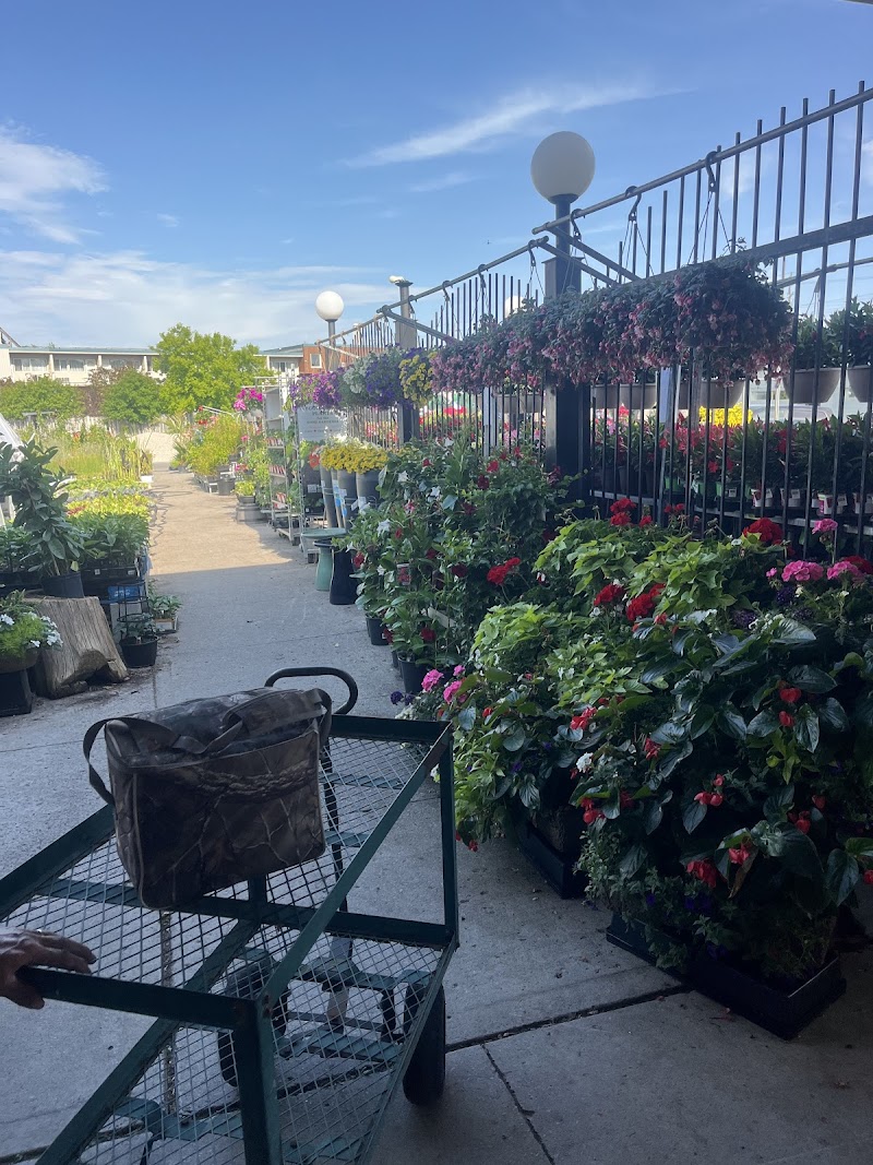 Peterborough Landscape Supply and Marquis Hot Tubs photo 2