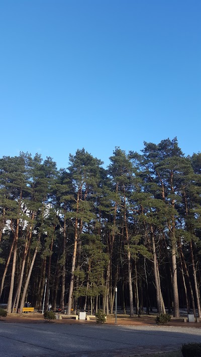 Photos of Alytus City Park