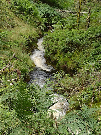 Source of the River Severn - Thumbnail