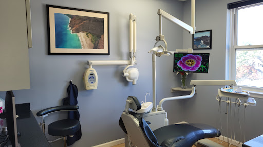 Ash Estafan DDS, Port Smiles