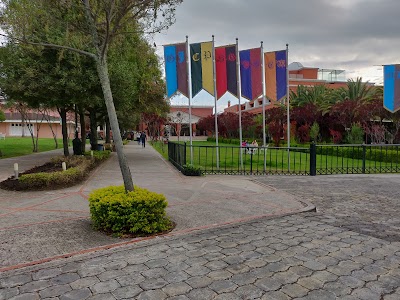 university