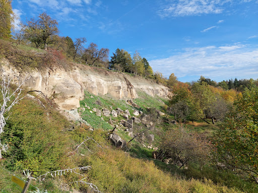 Urbach forest adventure path Gallery - Germany