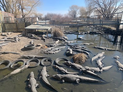 Colorado Gators Reptile Park