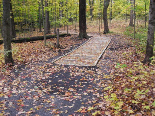 Maybury State Park - United States