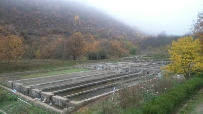 Photos of Samarood Trout Farm 🐟🐟🐟پرورش ماهی سمارود (امیری)