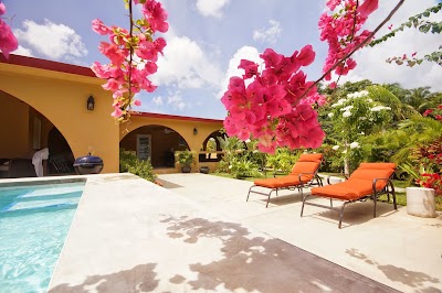 Photos of Bravos Bungalows