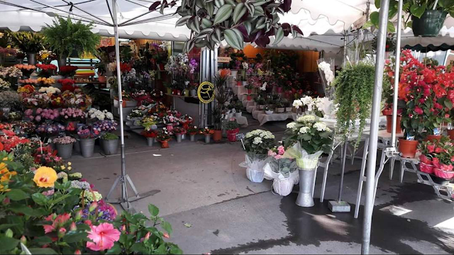 La Loge Aux Fleurs