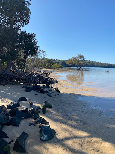 Prince of Wales Walking Track