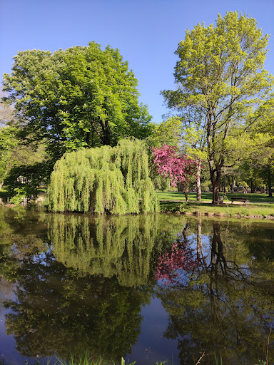 Schloßteich Park - Thumbnail