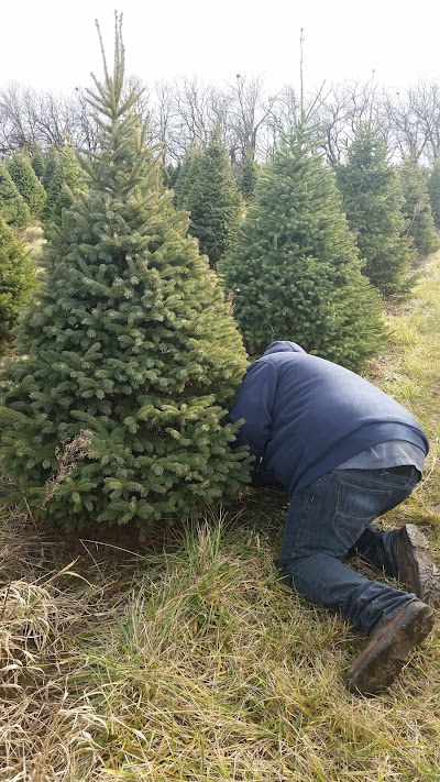 Photos of Bengtson Christmas Tree Farm