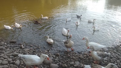 Photos of Viniterra