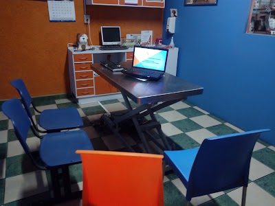 Photos of Toluca Veterinary Medical Group