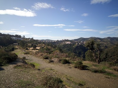 Photos of بو لقرود