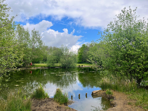 Little Burton Park - Thumbnail