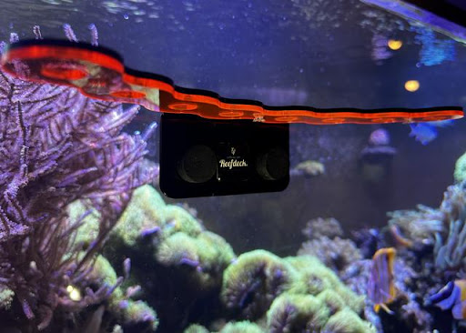 Reefdeck - Thumbnail