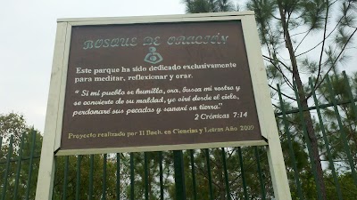Photos of INSTITUTO REACH INTERNACIONAL