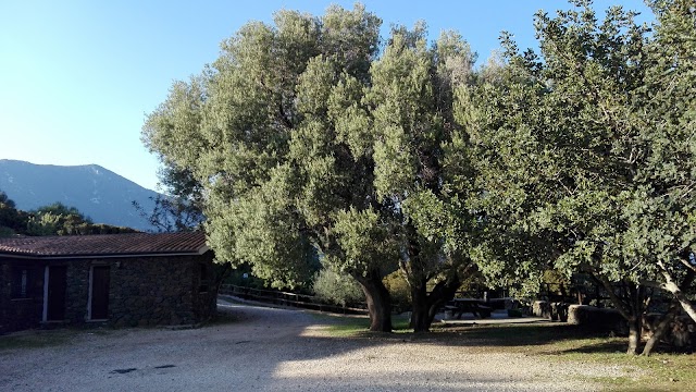 Agriturismo Nuraghe Mannu