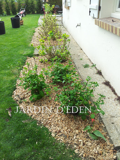 Photo de Jardin d'eden à Saint-Savinien (17350)