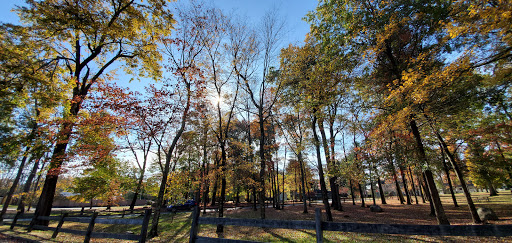 Knoll Park Picnic Area - Thumbnail